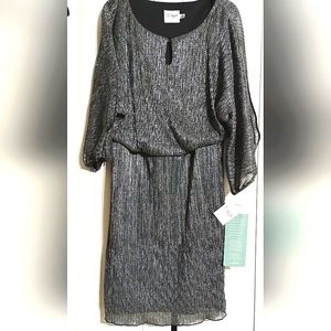 Metallic silver dress, size 10, J.Taylor